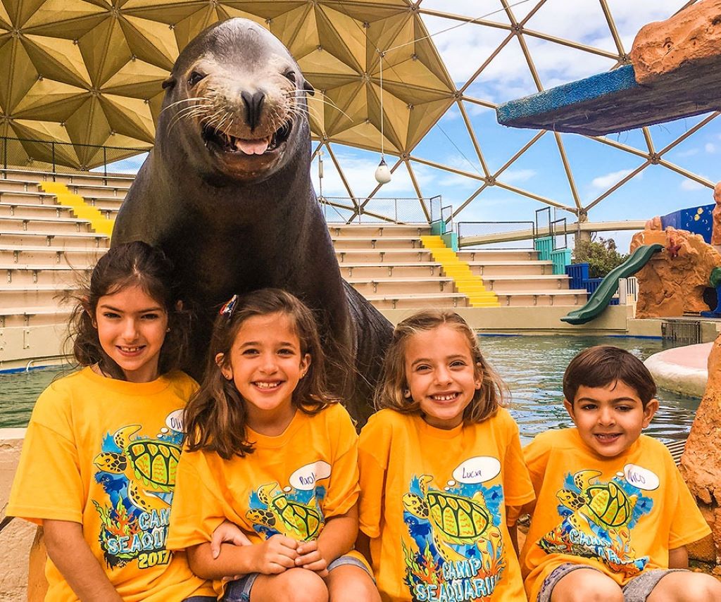 Tour Miami's Wildlife Attractions