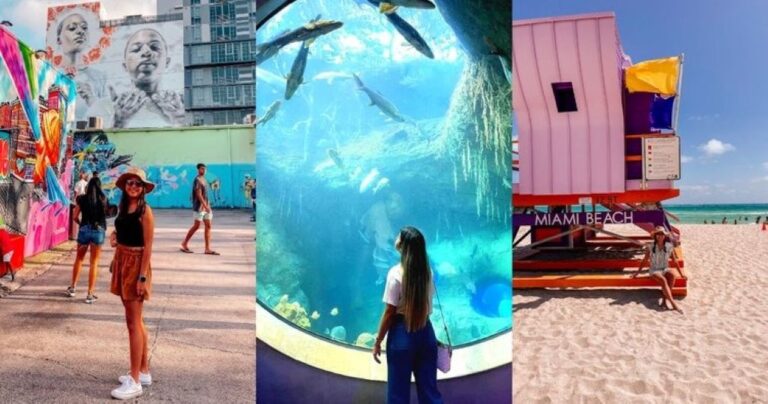 Funny and unexpected things to do in miami today